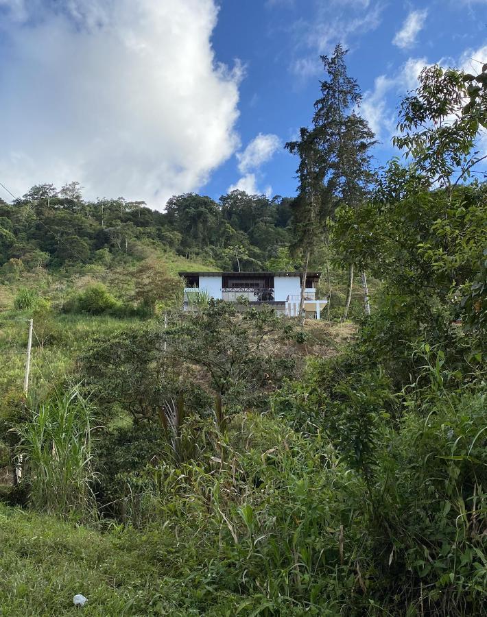 Arte De Plumas Birding Lodge Cartago Exterior foto