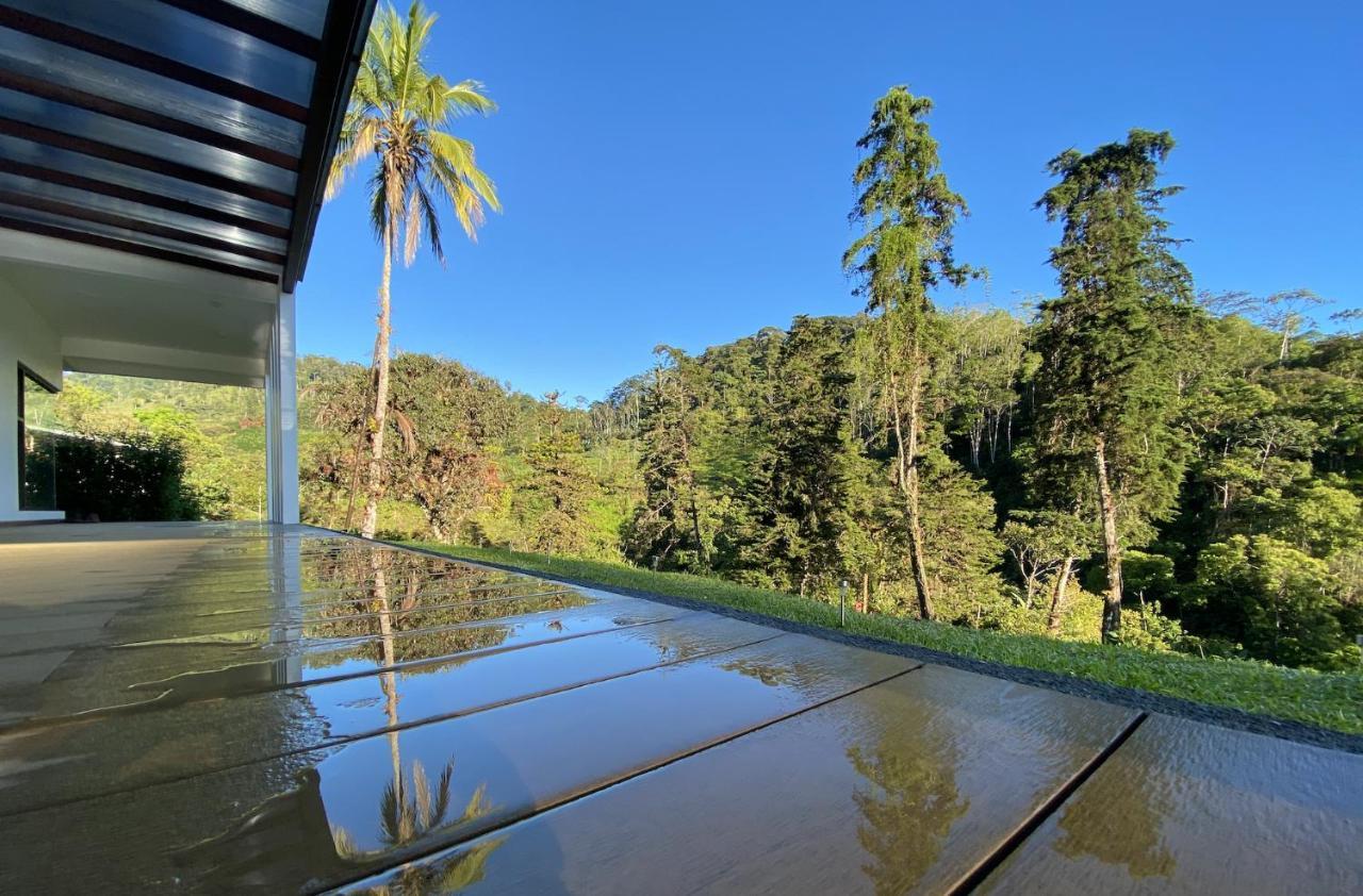 Arte De Plumas Birding Lodge Cartago Exterior foto