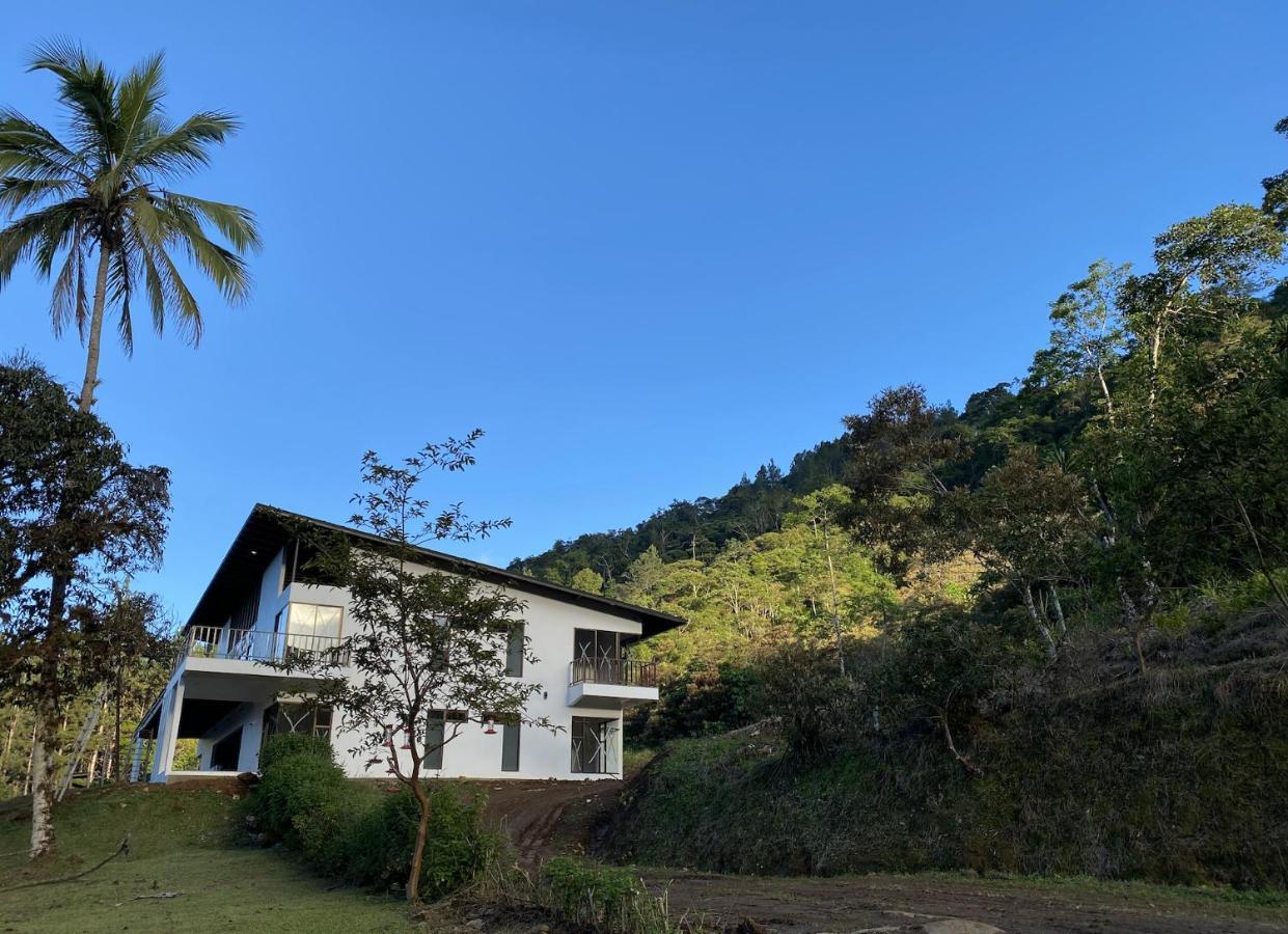 Arte De Plumas Birding Lodge Cartago Exterior foto