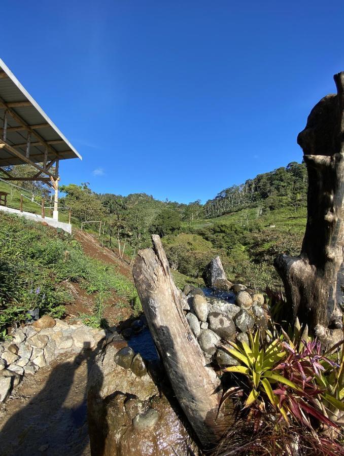 Arte De Plumas Birding Lodge Cartago Exterior foto