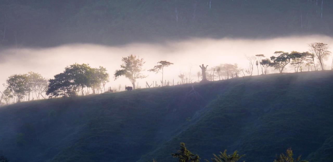 Arte De Plumas Birding Lodge Cartago Exterior foto