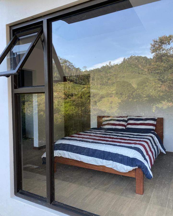 Arte De Plumas Birding Lodge Cartago Exterior foto